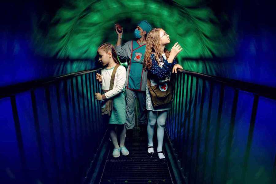 Квест в реальности Эльфийское сердце от компании Фэнтазиград Квест в реальности Эльфийское сердце от компании Фэнтазиград