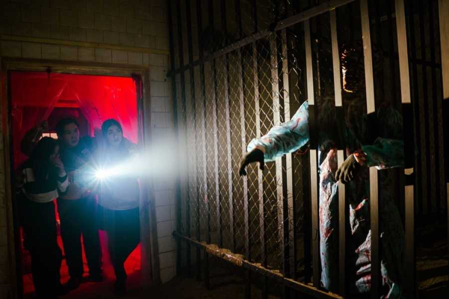 Квест в реальности The Last of Us от компании Quest Stars Квест в реальности The Last of Us от компании Quest Stars