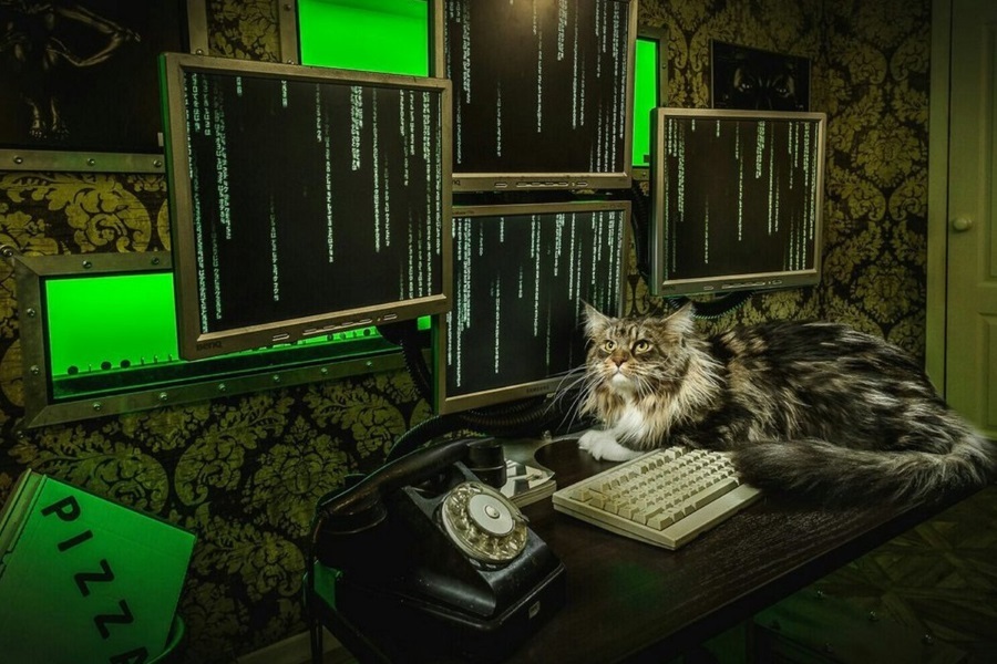 Квест в реальности Матрица. Перезагрузка от компании Авантюра Квест в реальности Матрица. Перезагрузка от компании Авантюра