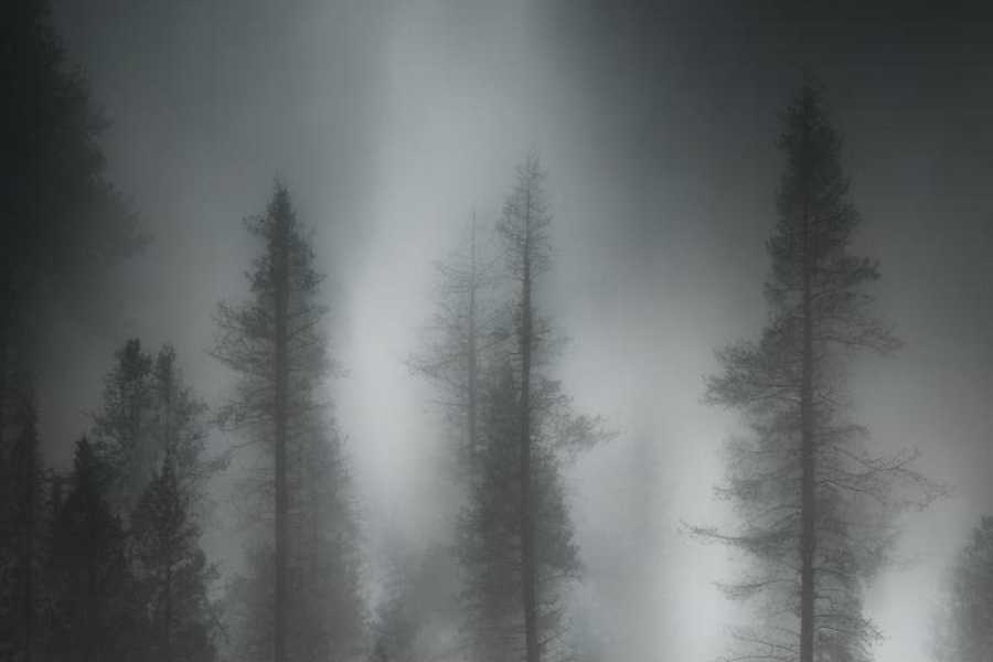 Квест в реальности Твой последний квест от компании Квест 23:45 Квест в реальности Твой последний квест от компании Квест 23:45